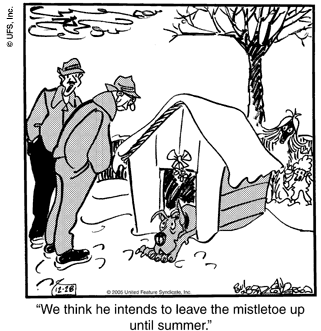 marmaduke